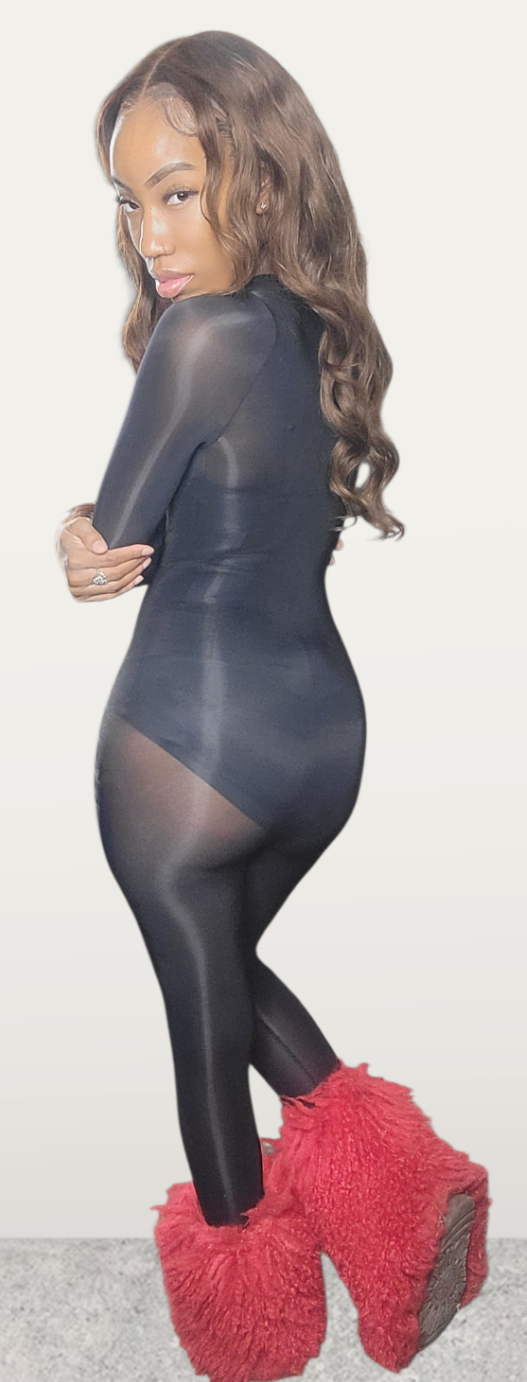 Black Sheer Bodysuit